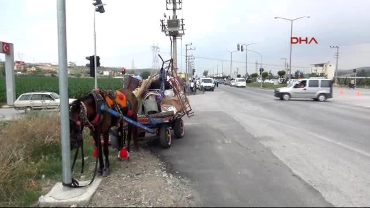 Osmaniye\'de Bıçaklı, Silahlı Kavga: 1 Ölü, 3 Yaralı