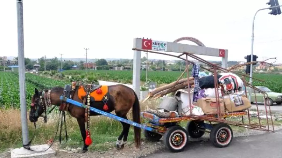 Osmaniye\'de Bıçaklı, Silahlı Kavgta: 1 Ölü, 3 Yaralı