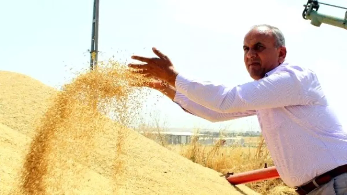 Üretici ve Esnaf Hububat Fiyatlarının Açıklanmasını Bekliyor