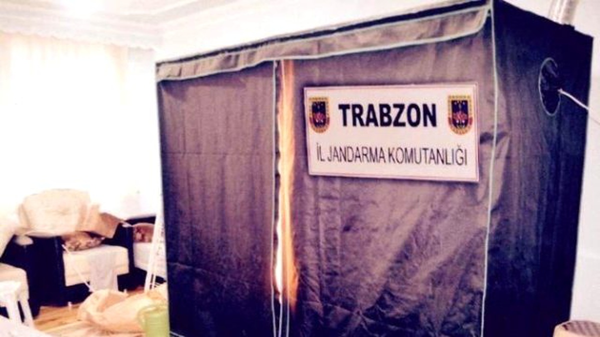 Bez Dolapta Kenevir Yetiştirmek İçin Herşeyi Düşünmüş