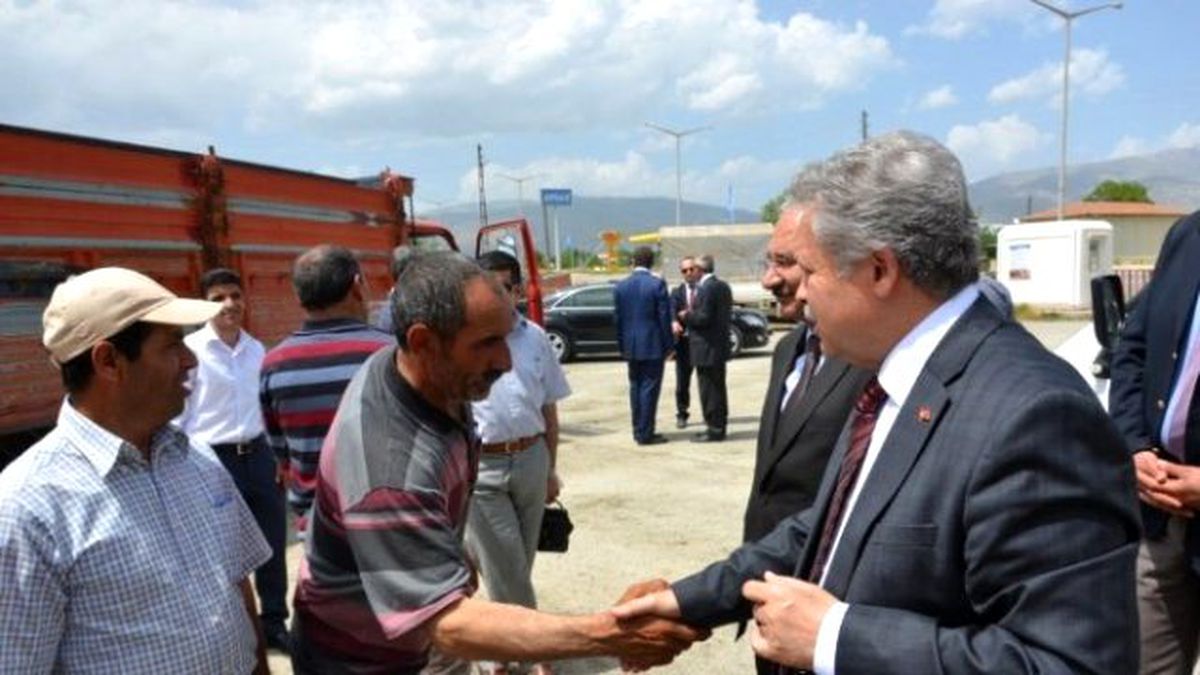 Damızlık Boğalar Kurayla Çiftçilere Dağıtıldı