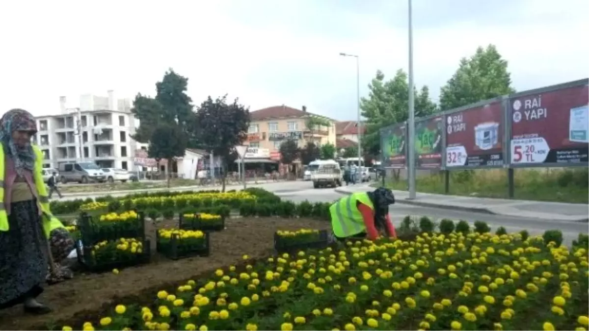 Düzce Kavşaklarına Rengarenk Çiçekler Dikiliyor