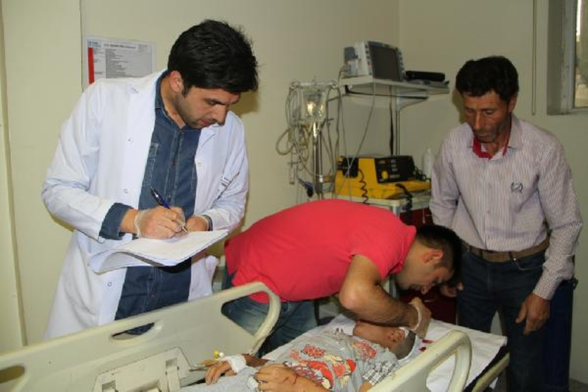 Van'da Sokak Köpeği 9 Çocuğu Isırdı