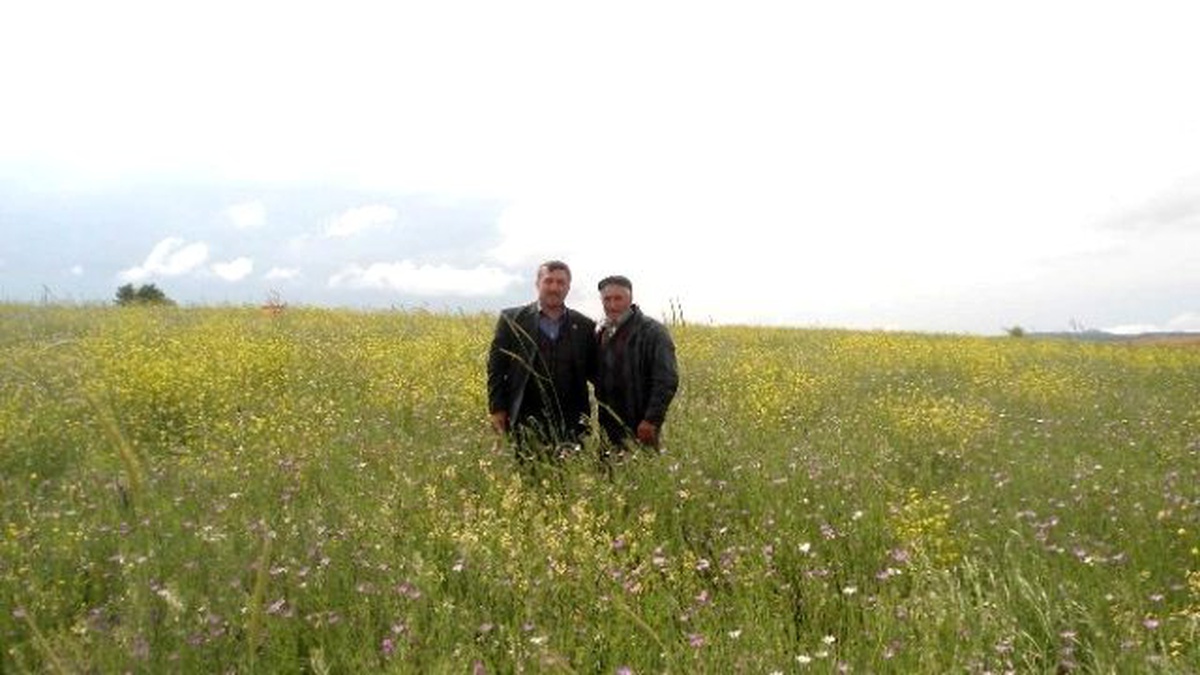 Bolvadin Ziraat Odası\'ndan İlçedeki Çiftçilerin Yüzünü Güldürecek Açıklama