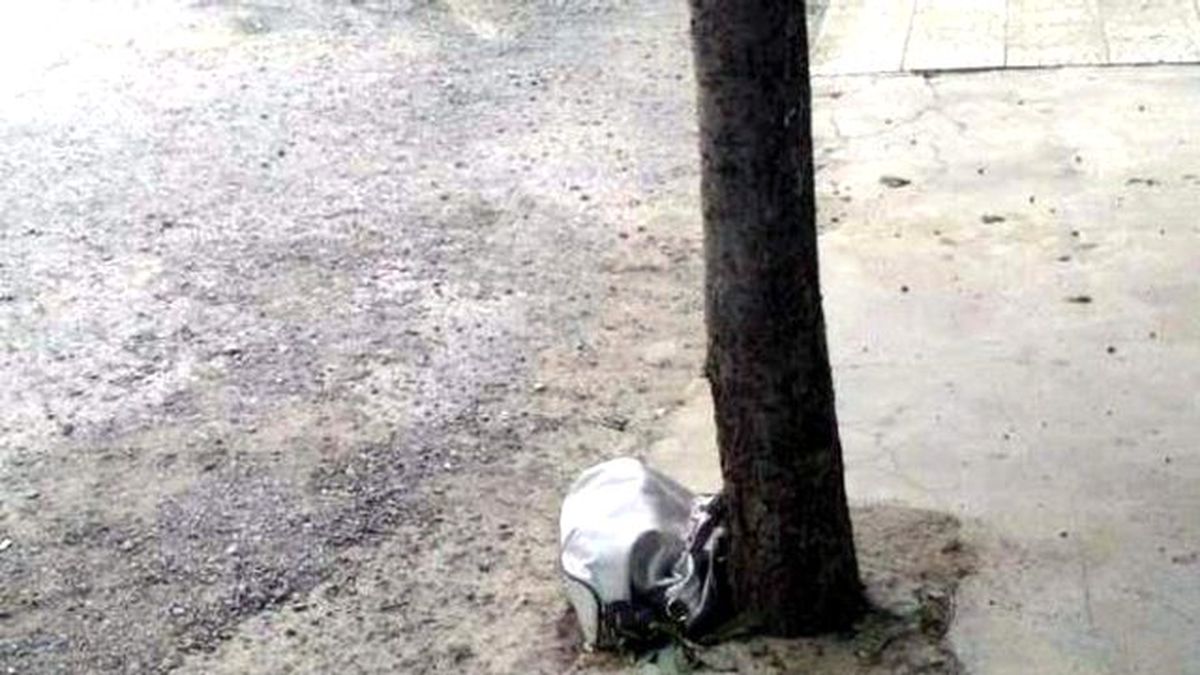 Aydın\'da Cadde Üzerine Bırakılan Bayan Çantası Korkuttu