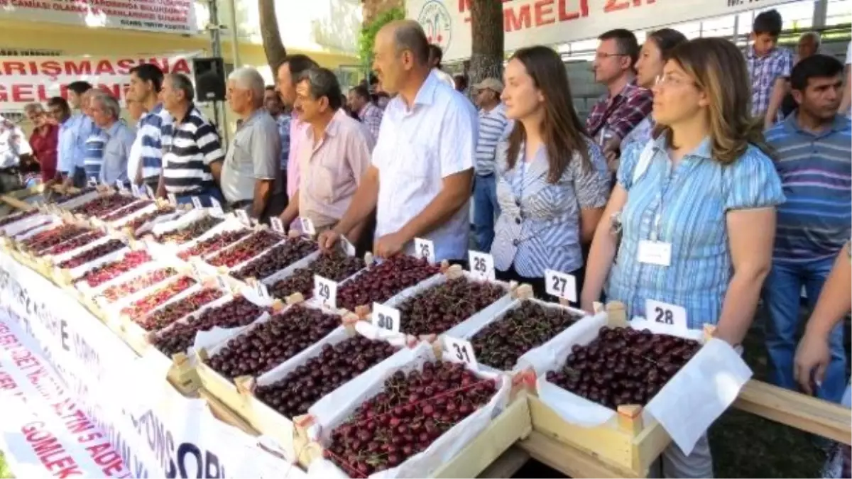 En İyi Kirazlar Pazar Günü Belirlenecek