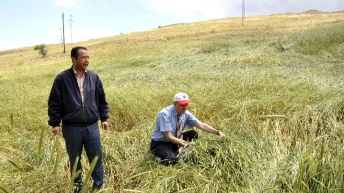 Kırıkkale\'de Sağanak ve Dolu Yağışının Yaraları Sarılıyor