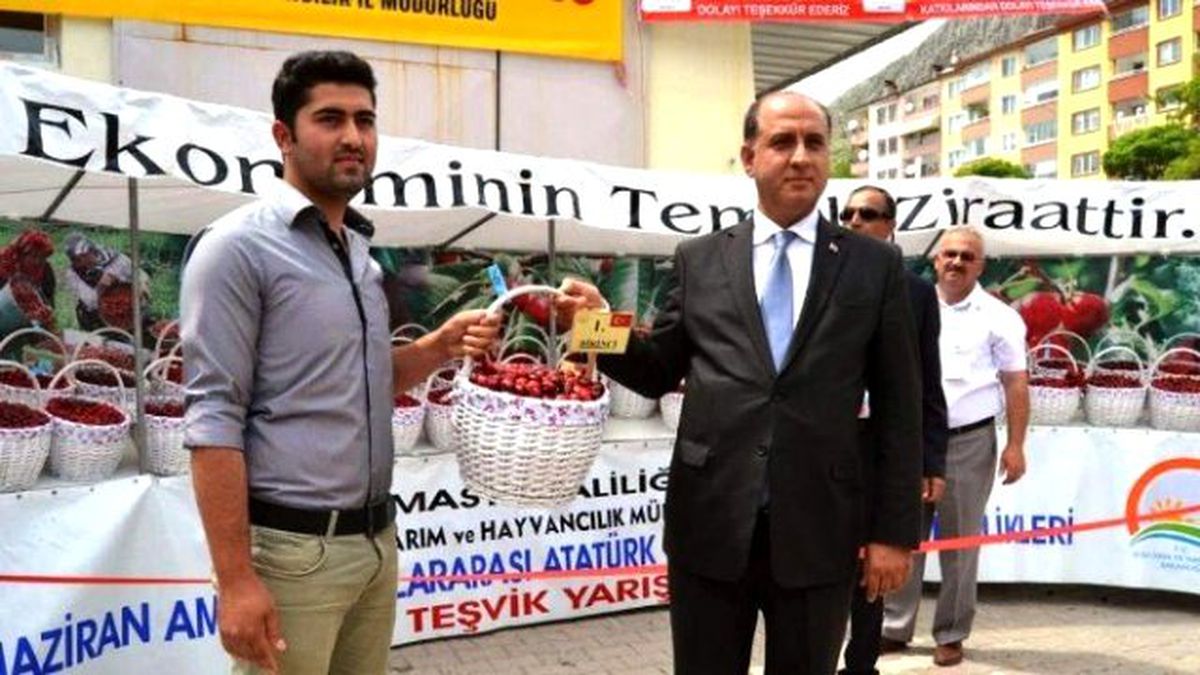 Amasya\'da Kirazlar Yarıştı