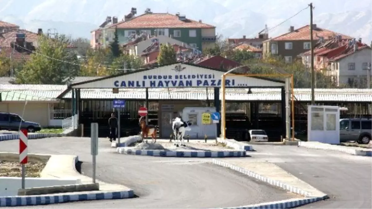 Burdur\'da Canlı Hayvan Pazarı Tekrar Açılıyor