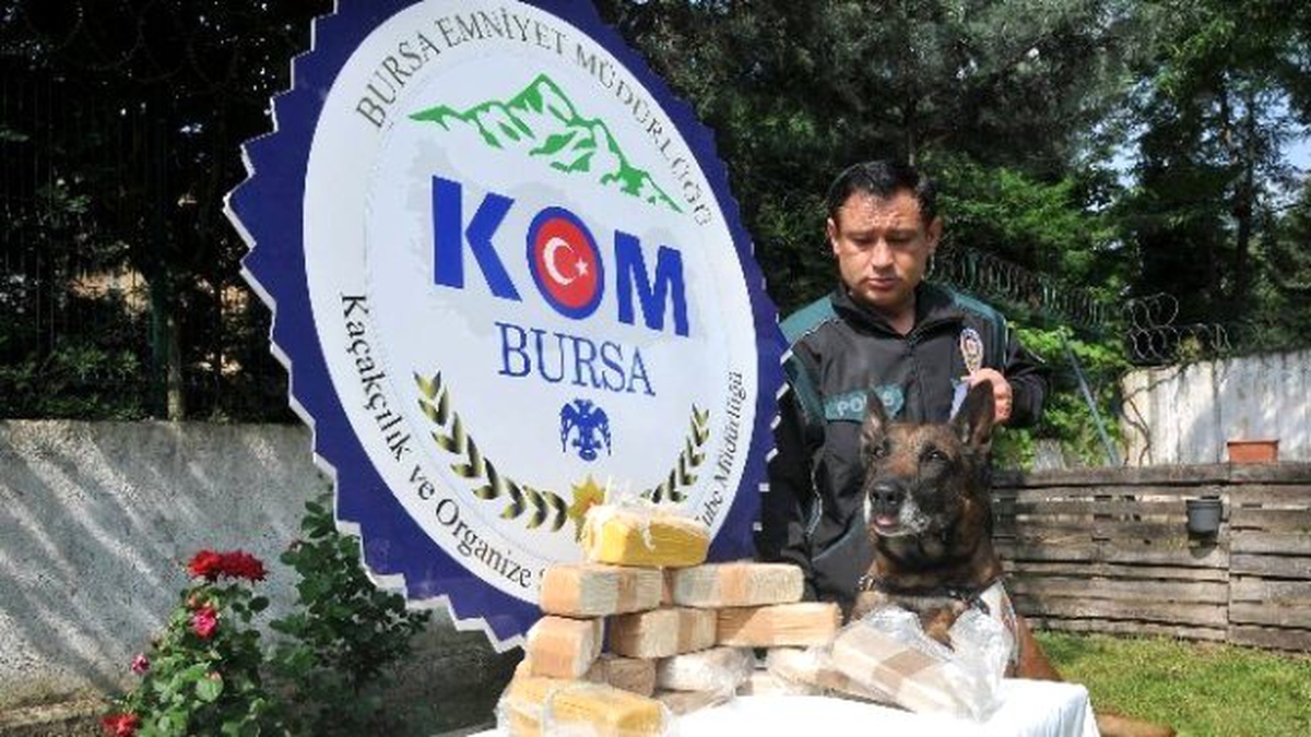 Bursa\'da 7.5 Kilo Eroin ile Yakalanan 3 Kişi Tutuklandı