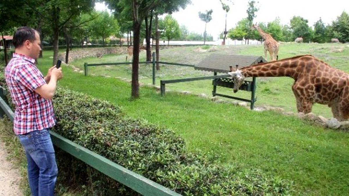 Bursa Hayvanat Bahçesi\'ne Ziyaretçi Akını