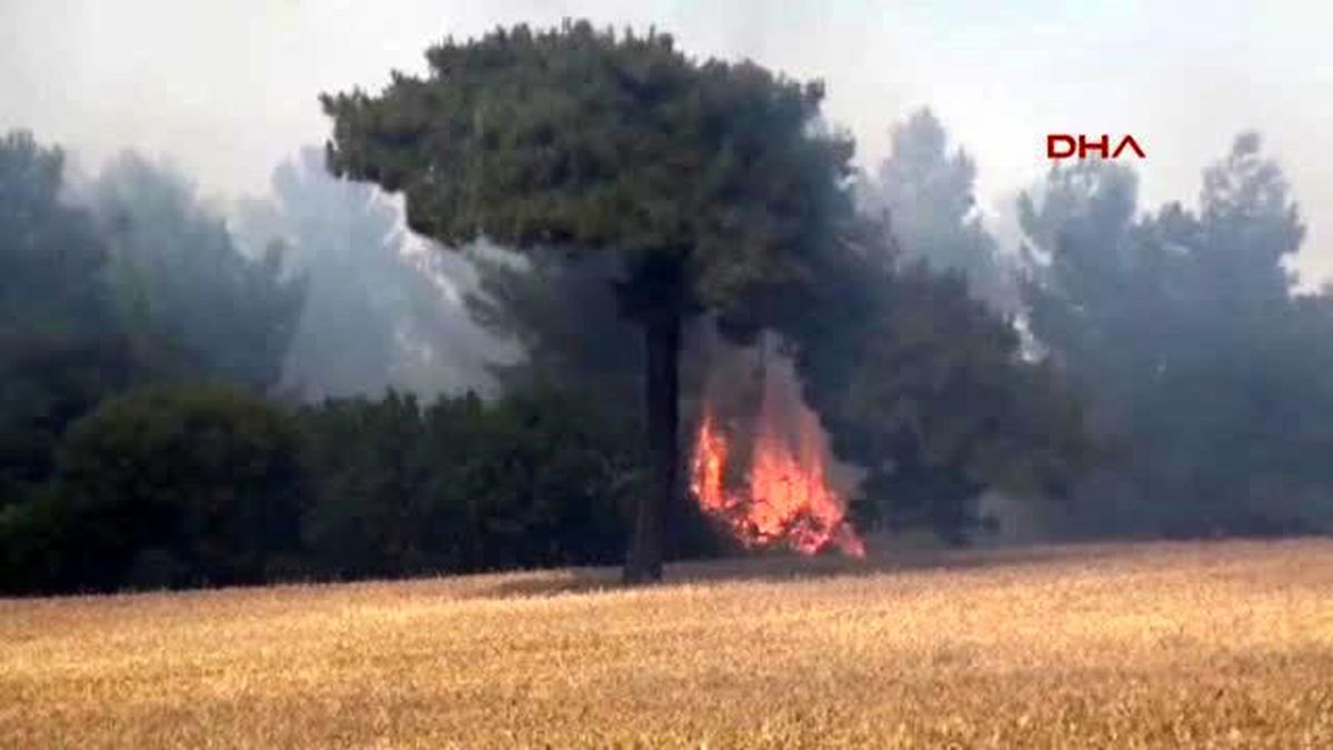 Çanakkale - Tarım Arazisindeki Çıkan Yangın Ormanı da Yaktı