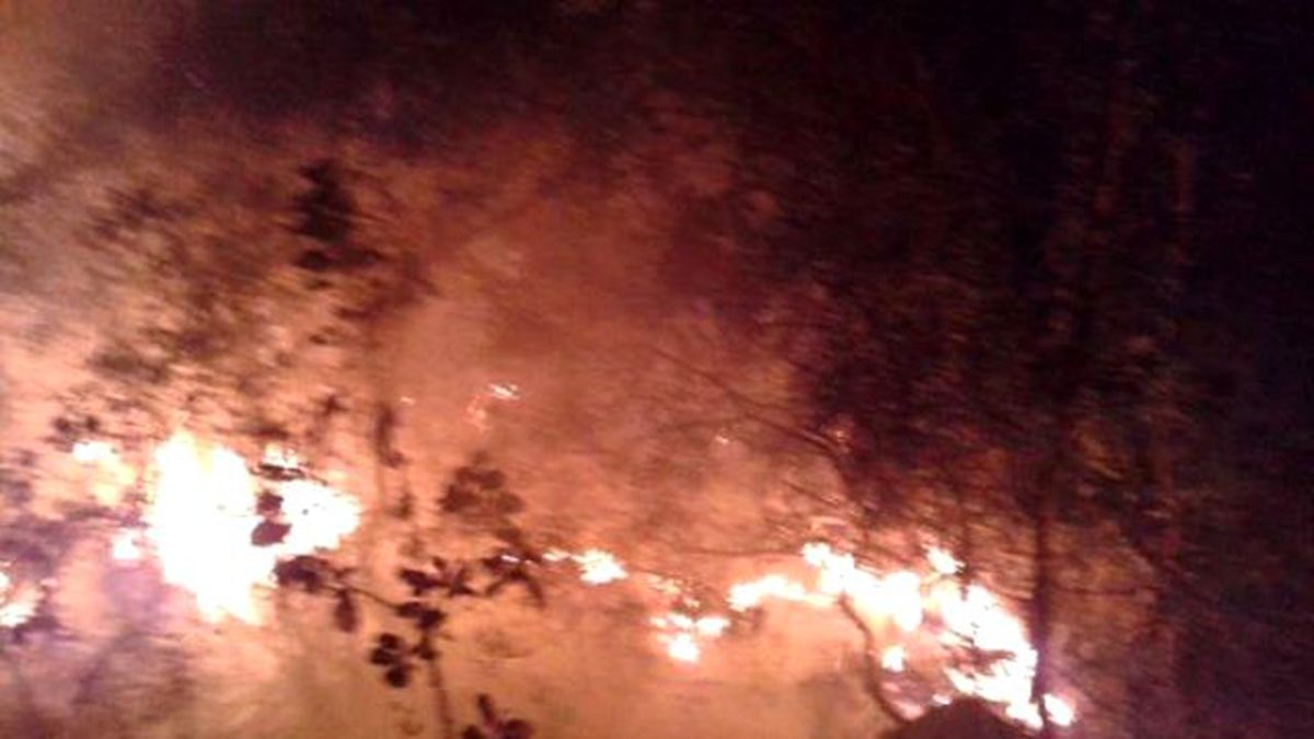 Marmaris\'te Ormana Düşen Yıldırım Yangına Sebep Oldu