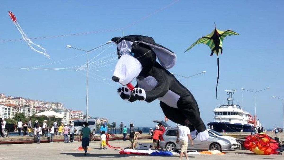 Sinop\'ta Uçurtmalar Çevre Bilinci İçin Uçuruldu