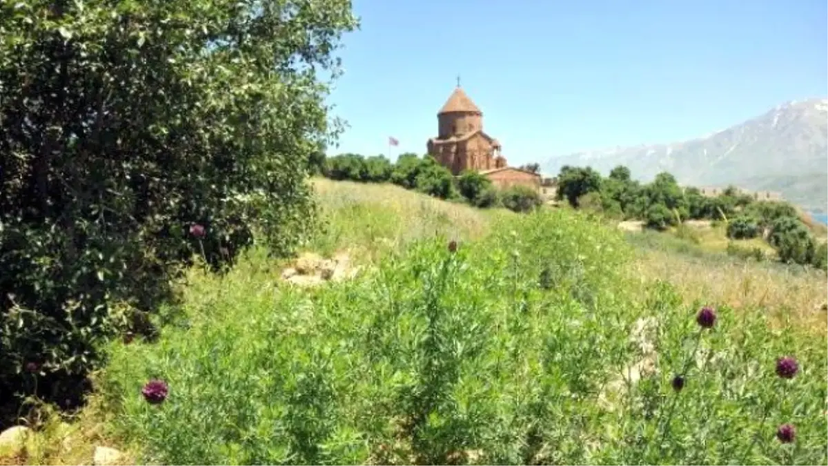 Tavşanla Mücadele Akdamar Adasına Hayat Verdi