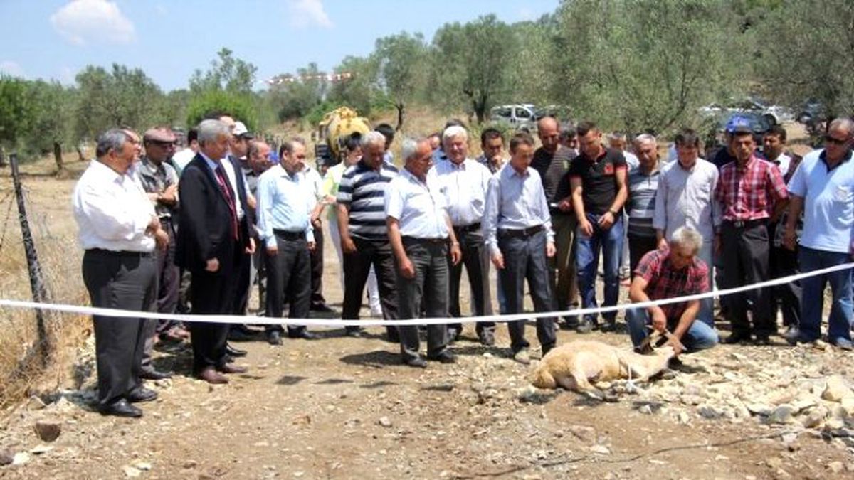 Bahadınlı\'da Köprü Sevinci