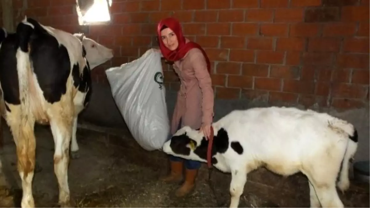 İvrindili Elif Hanım,