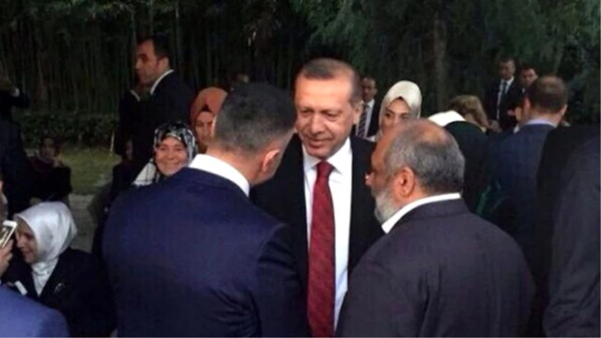Erdoğan\'ın Sedat Peker\'le Fotoğrafı Ortaya Çıktı