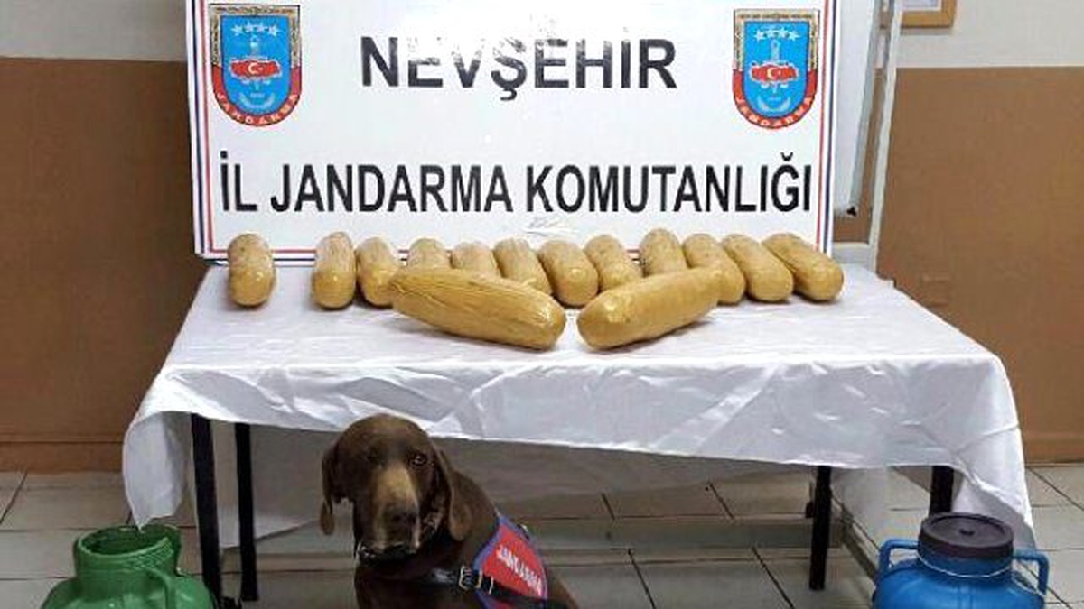 Otobüsteki Peynir Bidonunda 16 Kilo Esrar