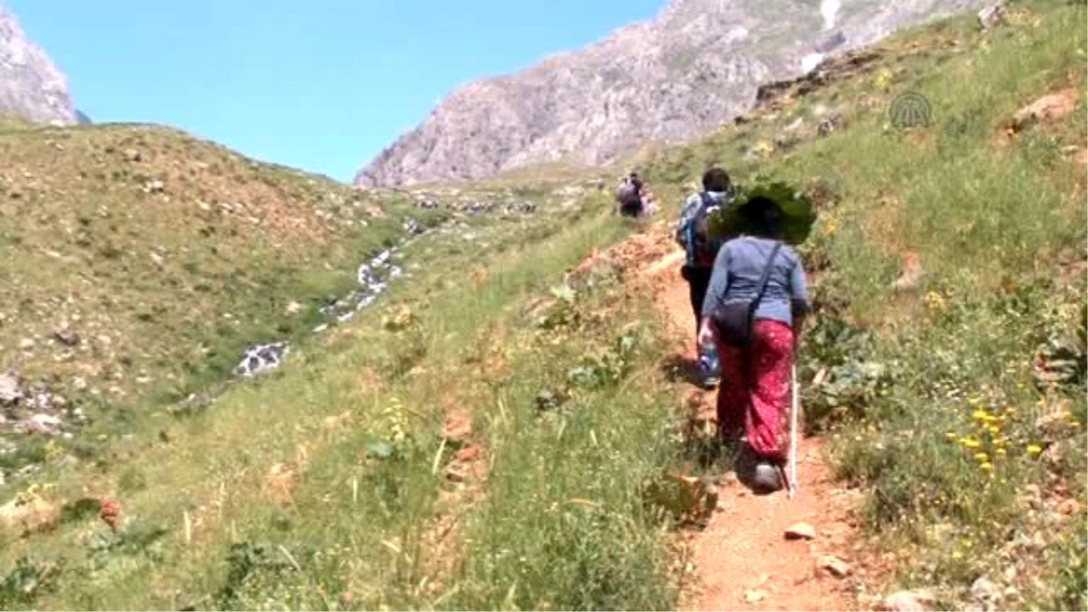 Saklı Cennetleri" Doğaseverleri Ağırlıyor