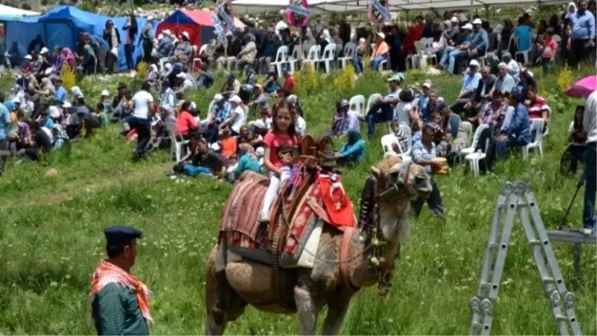 Yörükler Aziziye Yaylası\'nda Buluştu