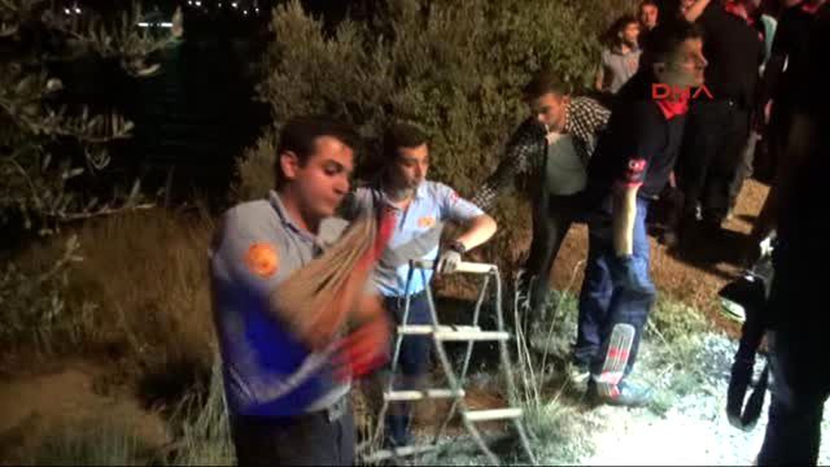 Adana\'da Otomobil Göle Düştü: 1 Yaralı