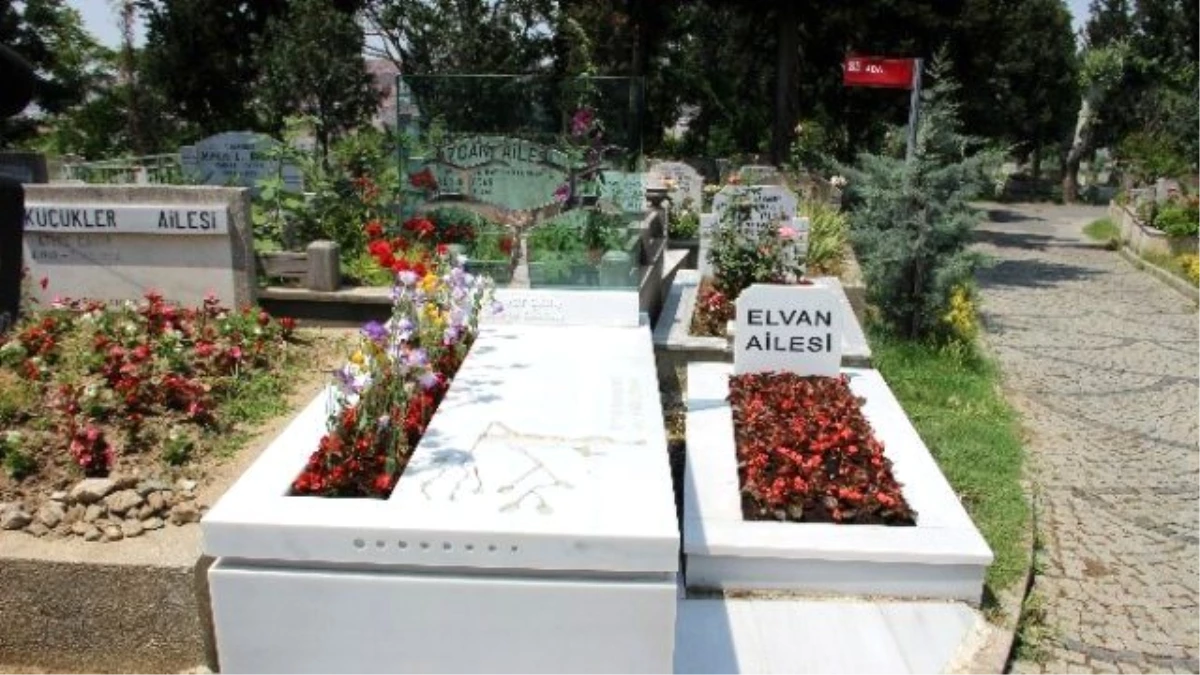 Anne Gülsüm Elvan, Oğlunun Mezarı Başında Gözyaşı Döktü