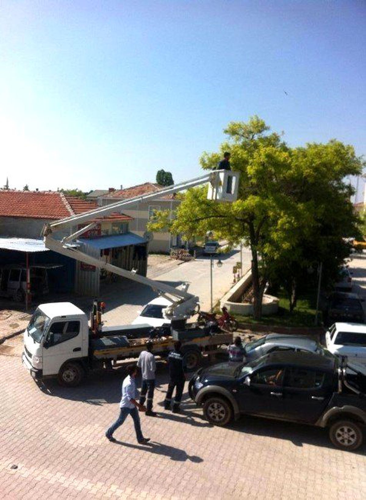 Ayağına İp Dolanan Kuş Ağaçta Mahsur Kaldı