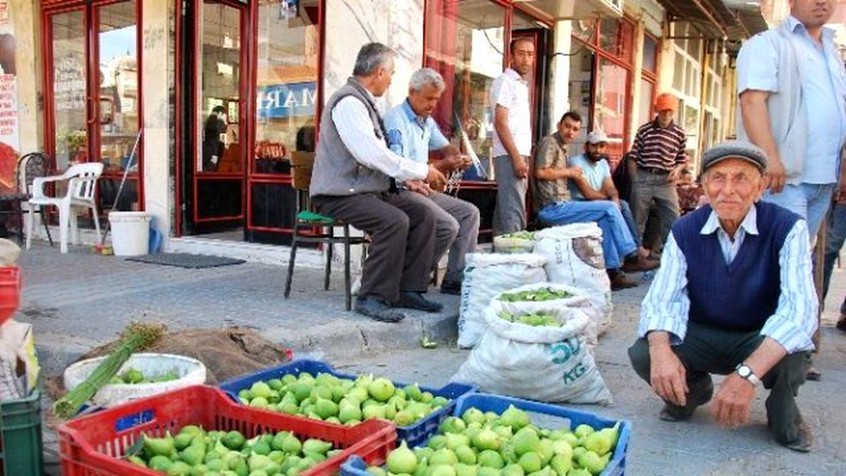Aydın\'da İncirler İleklenmeye Başladı