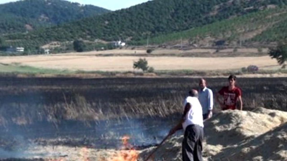 Bin Dönümlük Buğday Tarlası Kül Oldu