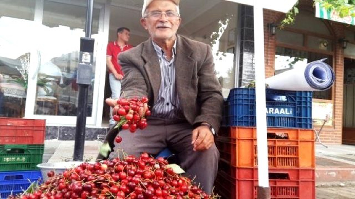 Dağ Yöresi Kirazının Fiyatı Düştü