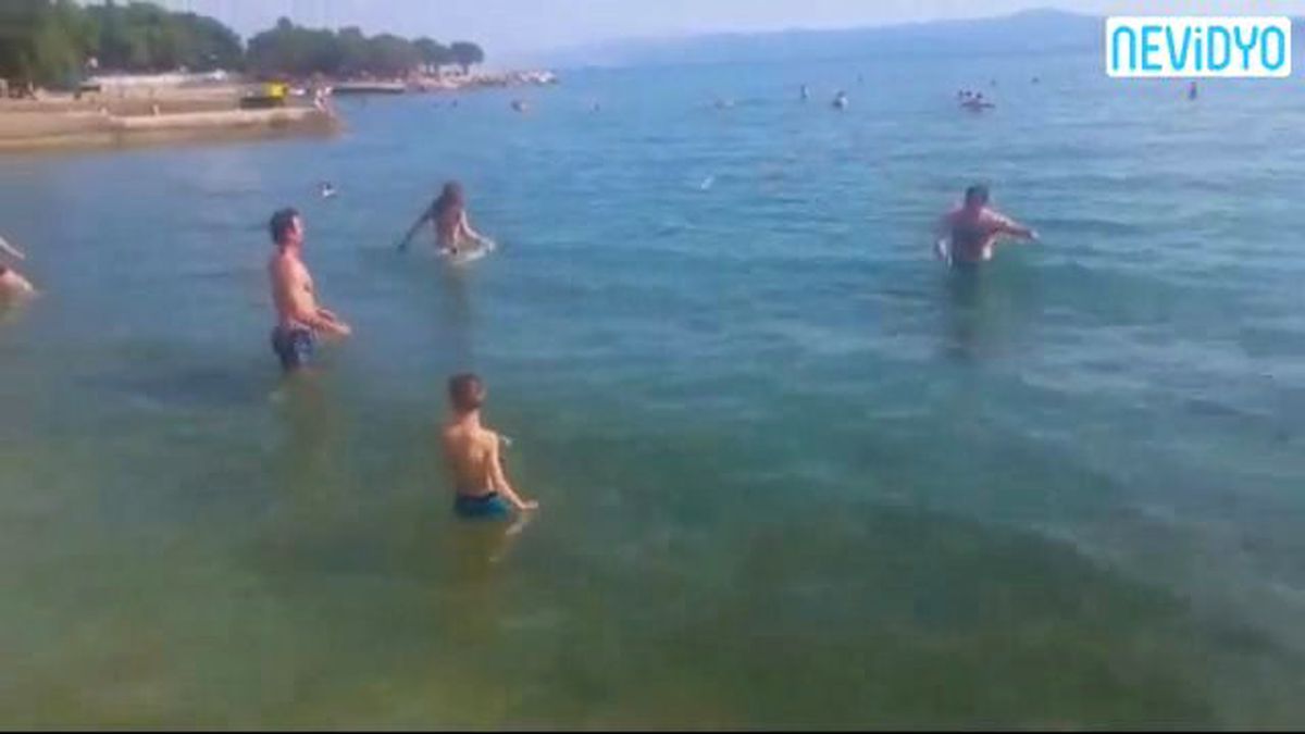 Frizbi Oynamayı Çok Yanlış Anlamak