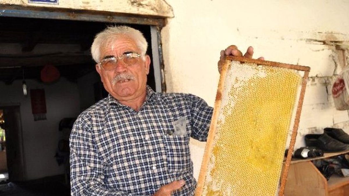 İmecikli Balcılar Bu Yıl Mutlu