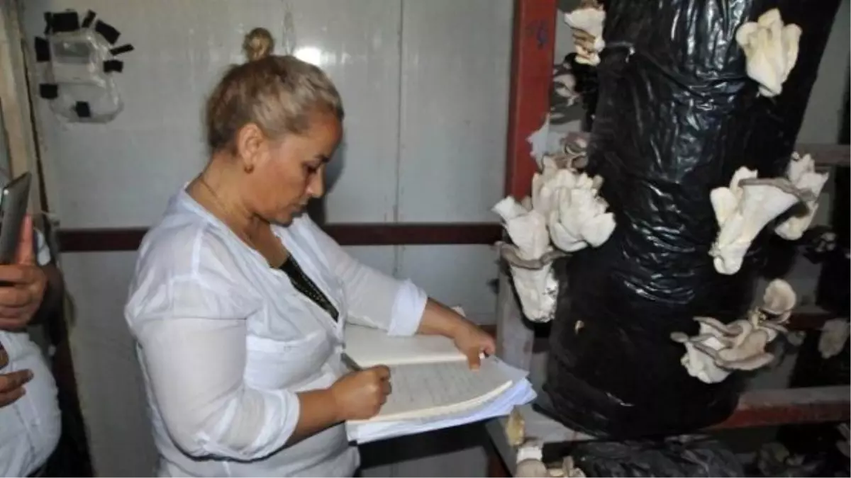 Mantar Eğitimleri Meyvesini Verdi