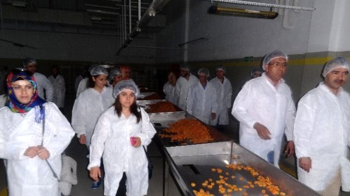 Ziraat Fakültesi Öğrencileri Malatya Kayısısını Yerinde İnceledi