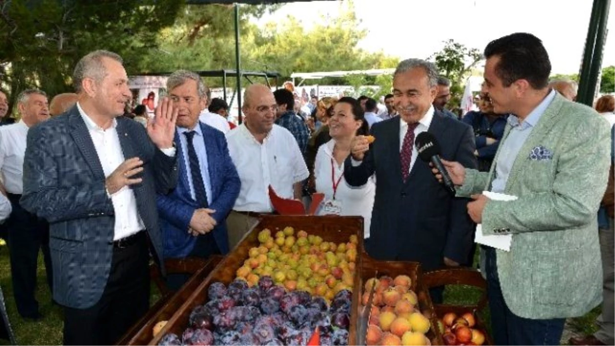 Adana\'da Meyve Bayramı