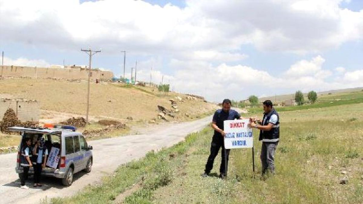 Başkale\'de Bir Mahallede 6 Ay Kuduz Karantinası