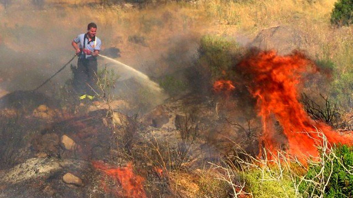 Bodrum\'da Örtü Yangını Zeytinlere Sıçramadan Söndürüldü