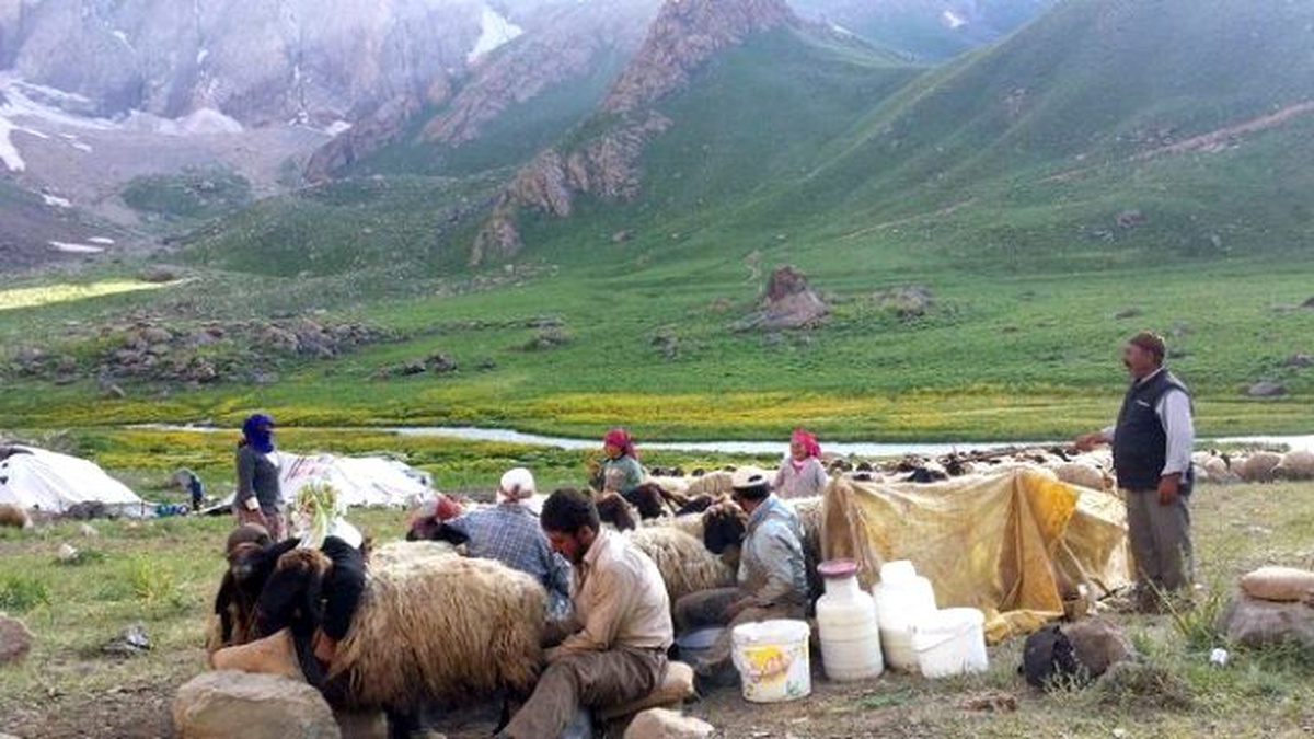 Çözüm Süreci Hakkari Yöresine Hayat Veriyor