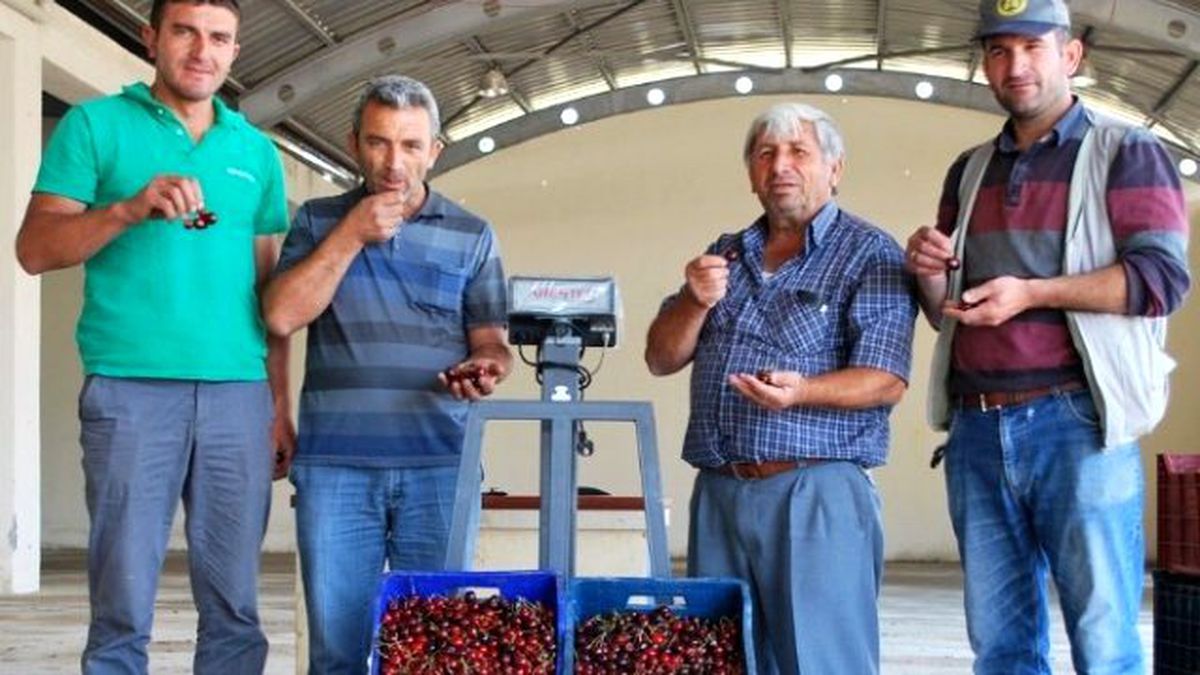 Kiraz Sezonu Açıldı
