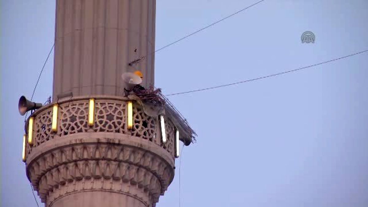 'Klasik Mahya Yerini Dijital Mahyaya Bıraktı' (2)