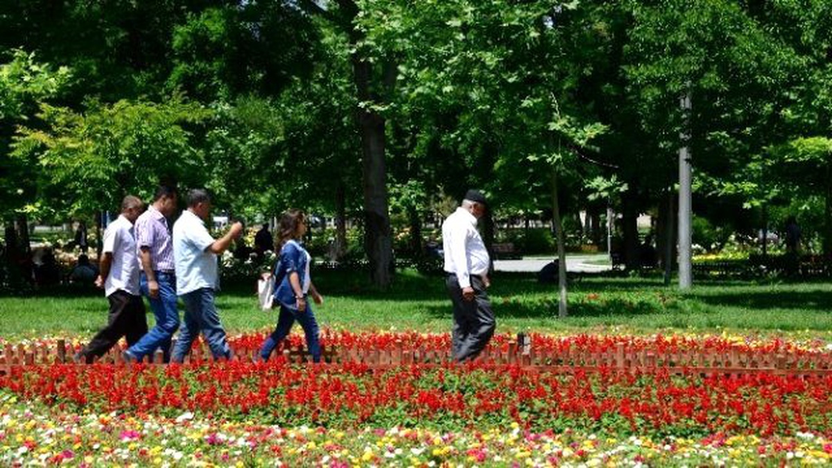 Konya Büyükşehir Şehri Güllerle Donattı