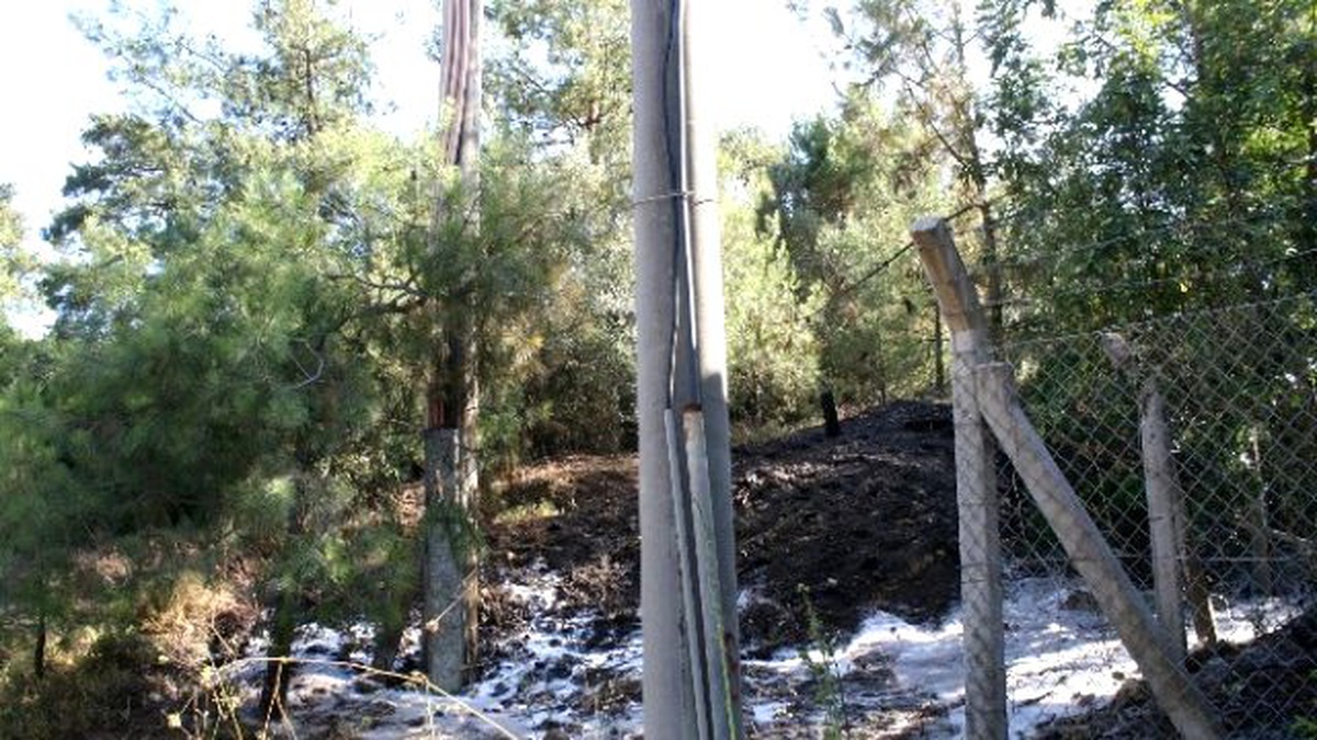 Marmaris\'te Çıkan Orman Yangınları Büyümeden Söndürüldü
