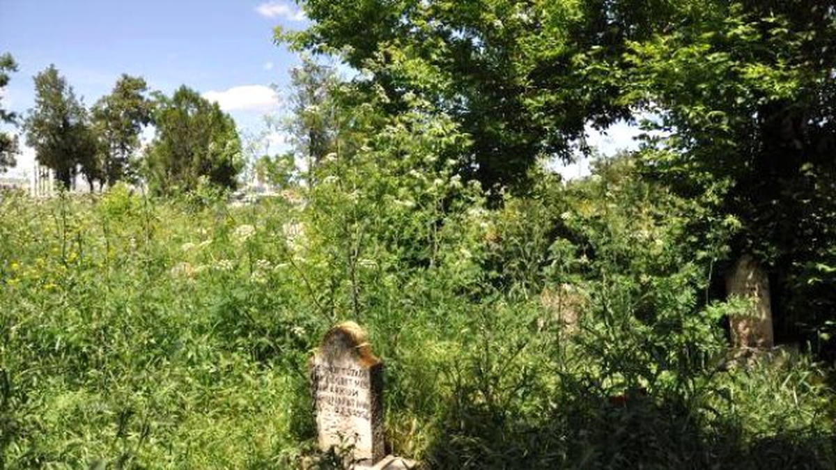 Mezarlığı Ot Kapladı, Mezarlar Görünmüyor