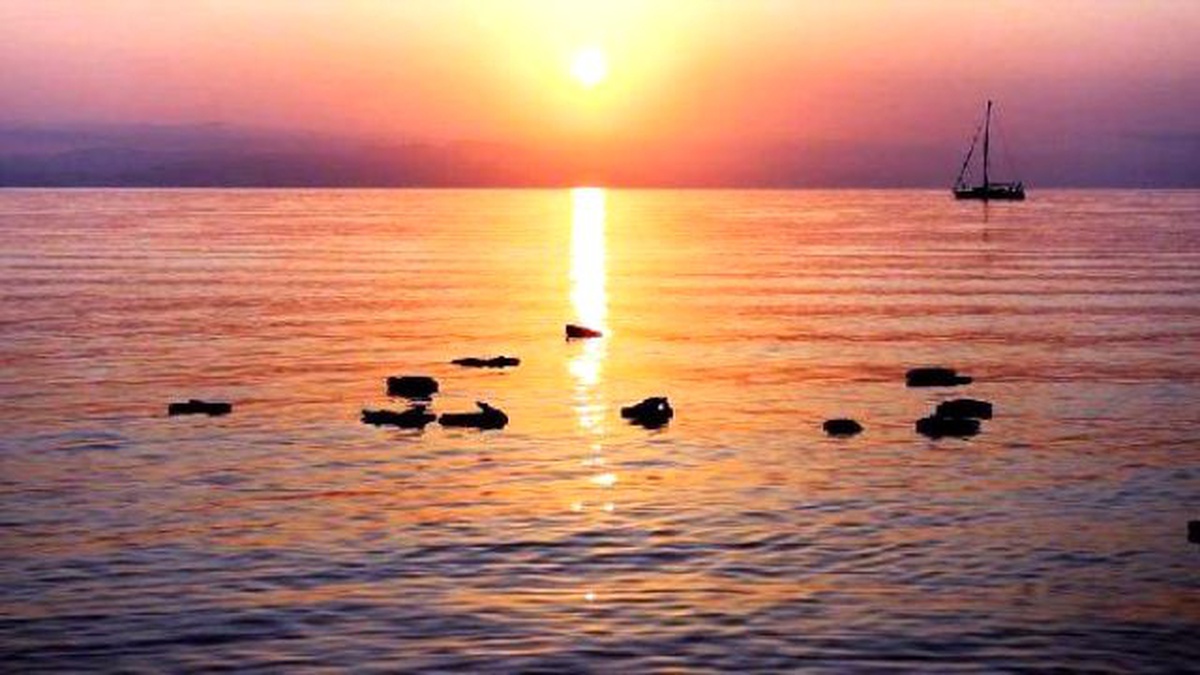 Suriyeli Kaçaklar Bodrum\'a Dönmek Zorunda Kaldı