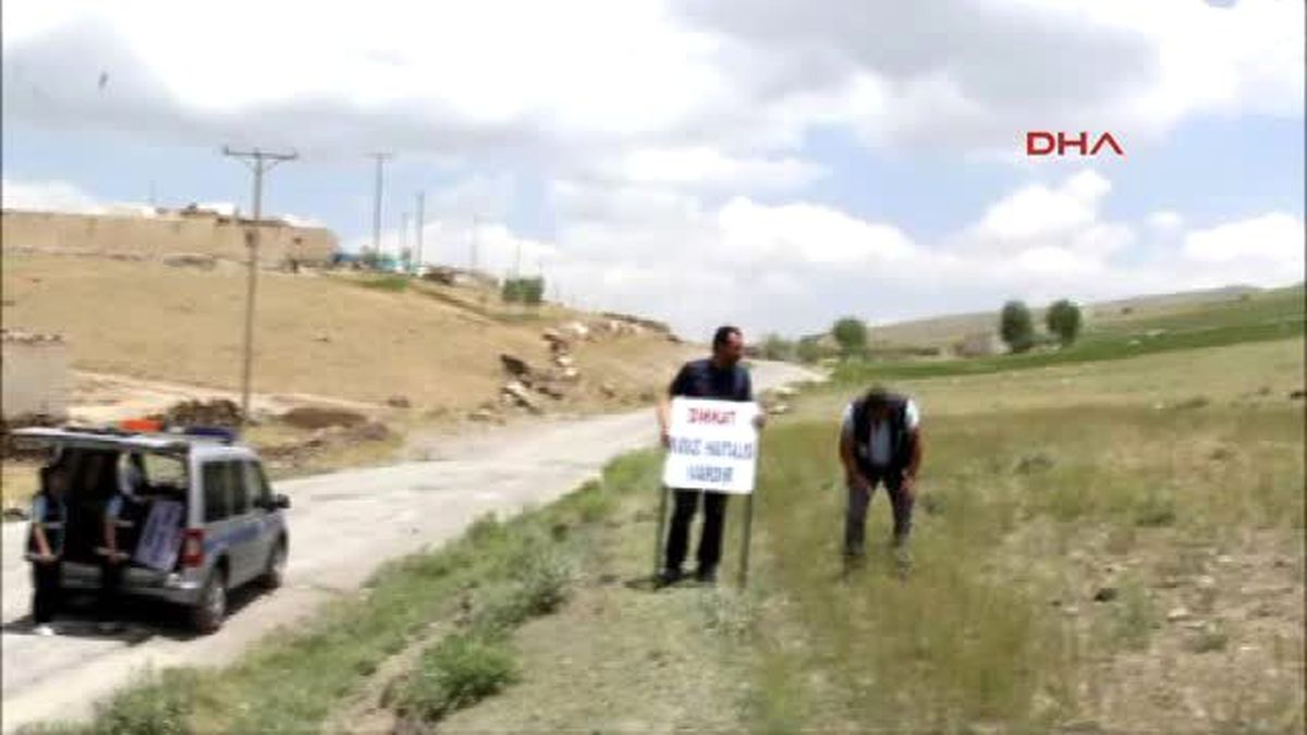 Van Başkale?de Bir Mahallede 6 Ay Kuduz Karantinası