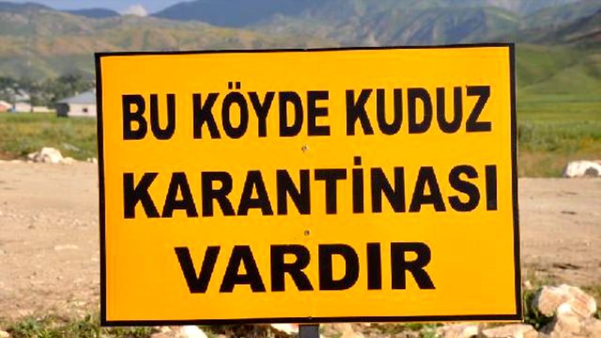 Yüksekova\'da 2 Köye Kuduz Karantinası
