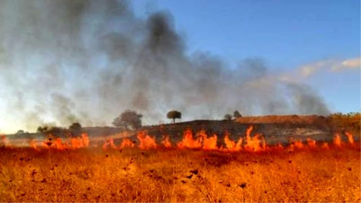 Öztürkmen: 80 İlde Anız Yakmak Yasak Ama Urfa\'da Serbest