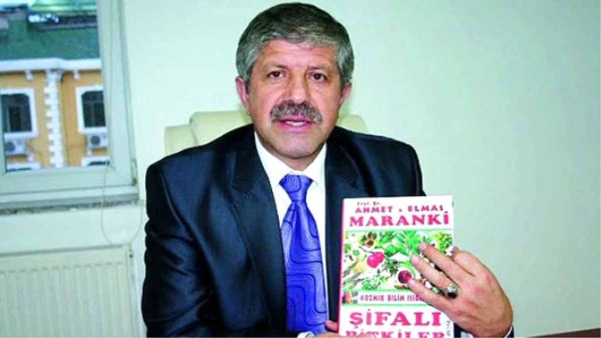 Prof. Dr. Ahmet Maranki\'ye \'İntihal\' Cezası