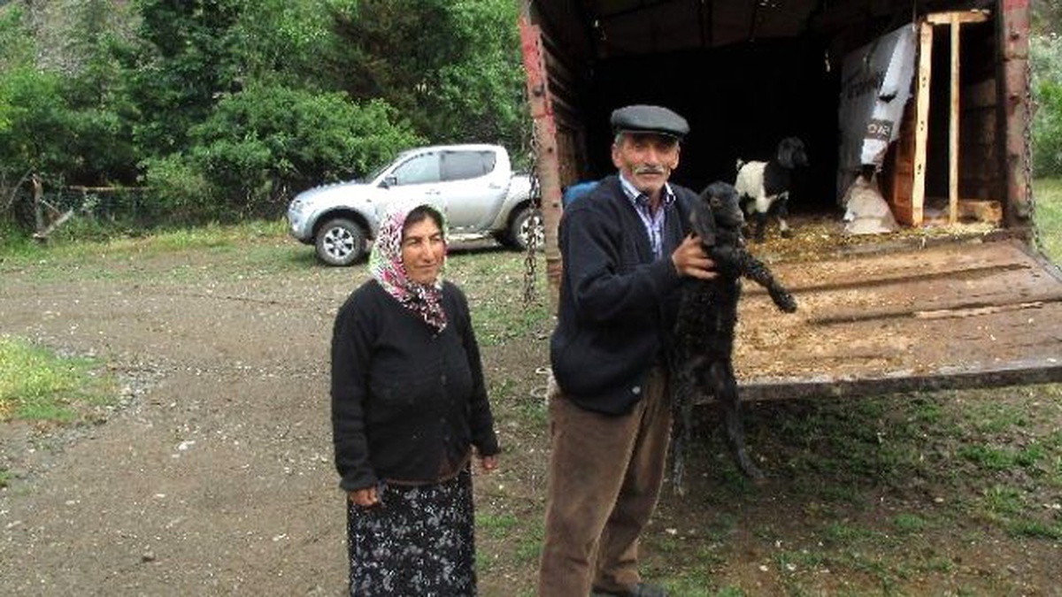 Uğurludağ Kaymakamlığından Karaer Ailesine Keçi Yardımı